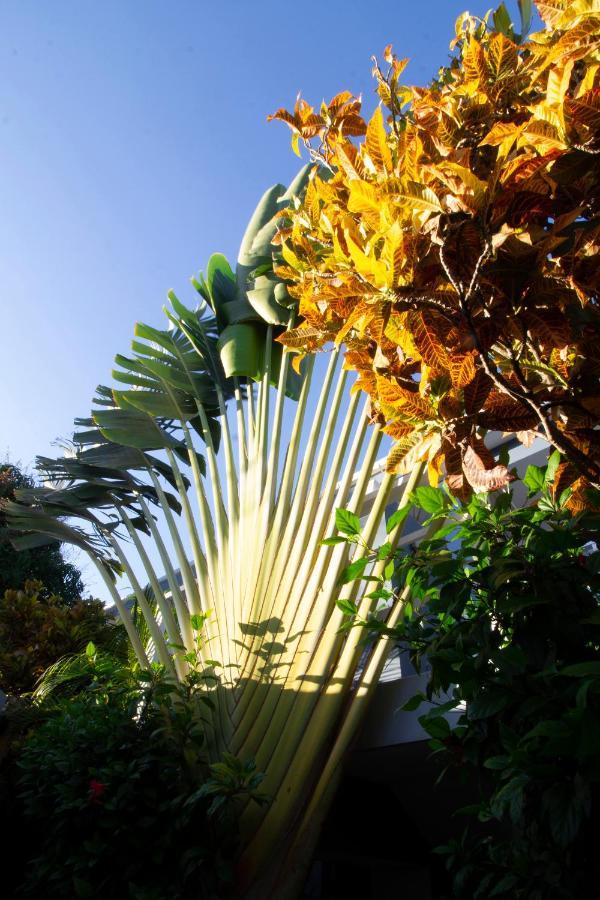 Casa Valeria Boutique Guest house