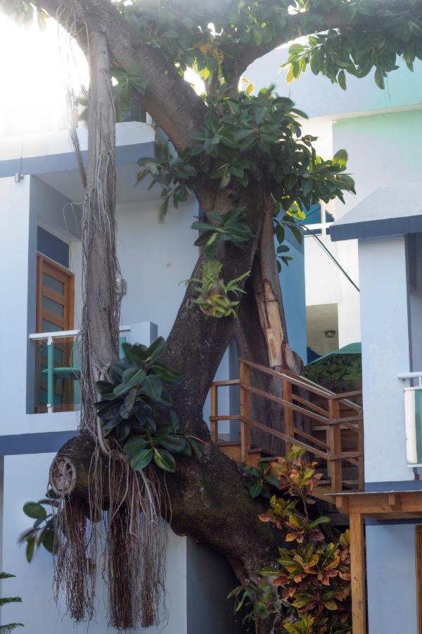 Guest house Casa Valeria Boutique 3*