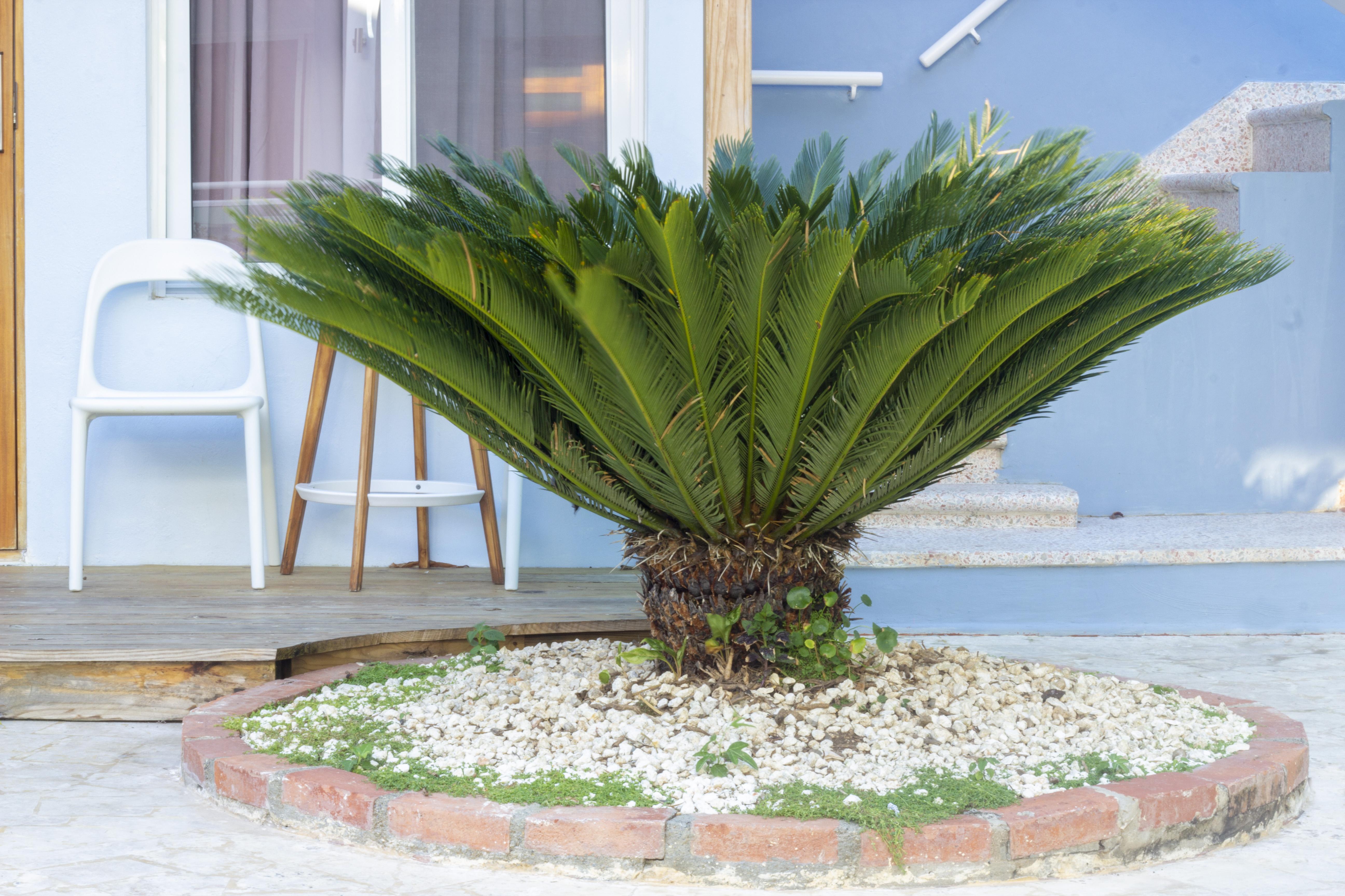 Casa Valeria Boutique Guest house 3*