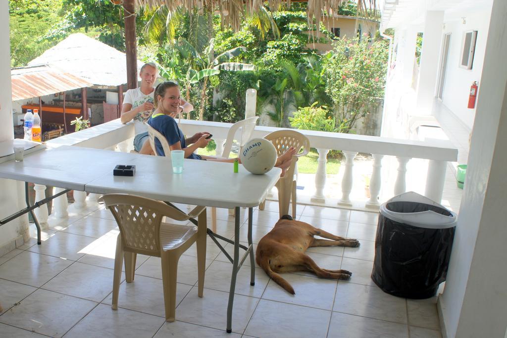 Hummingbird Cabarete