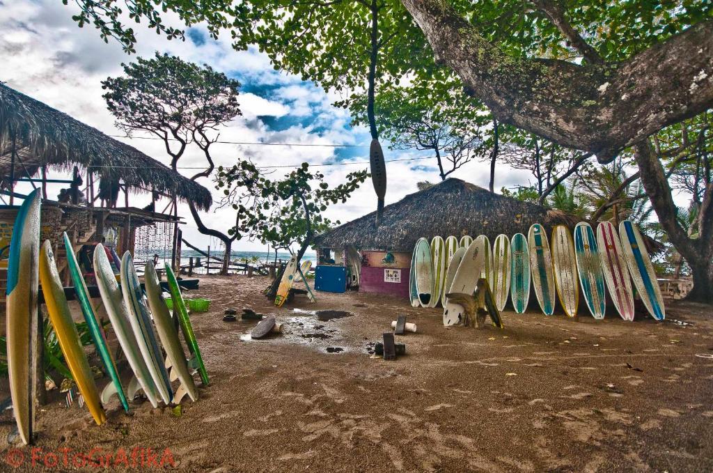 Surf Camp Cabarete