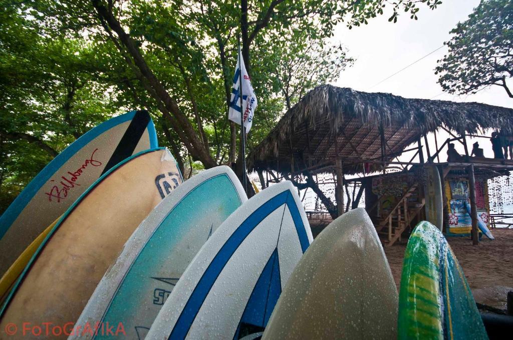 Surf Camp