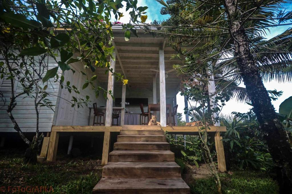 Hotel Surf Camp Cabarete
