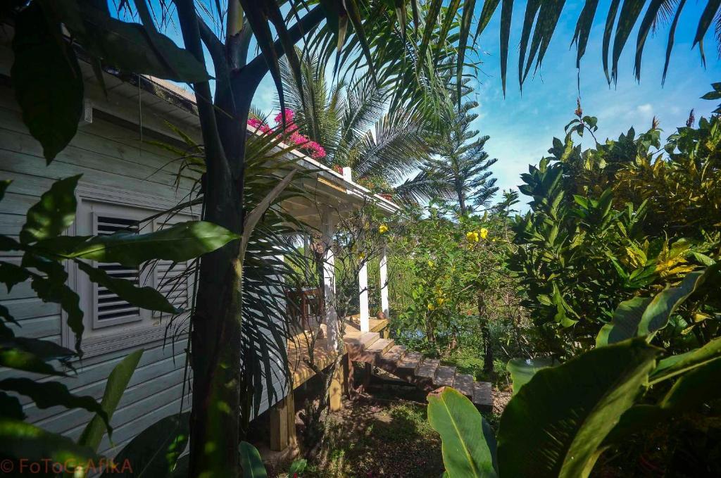 Surf Camp Hotel