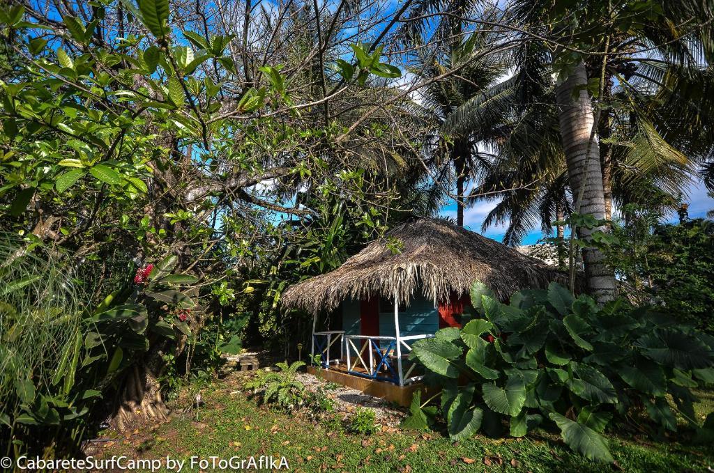 Hotel Surf Camp Cabarete