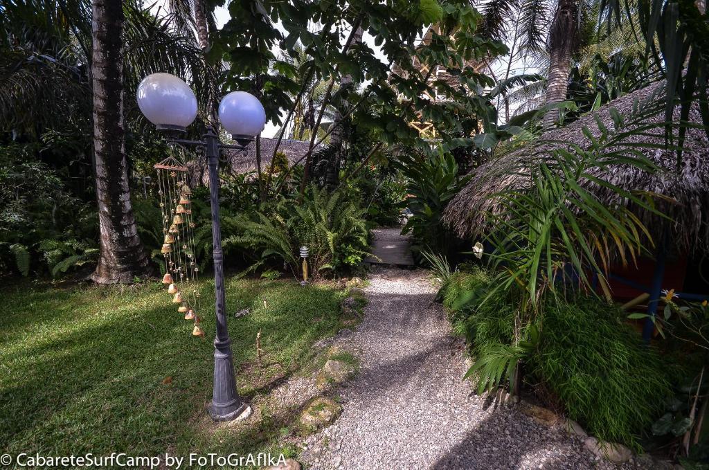 Surf Camp Hotel Cabarete