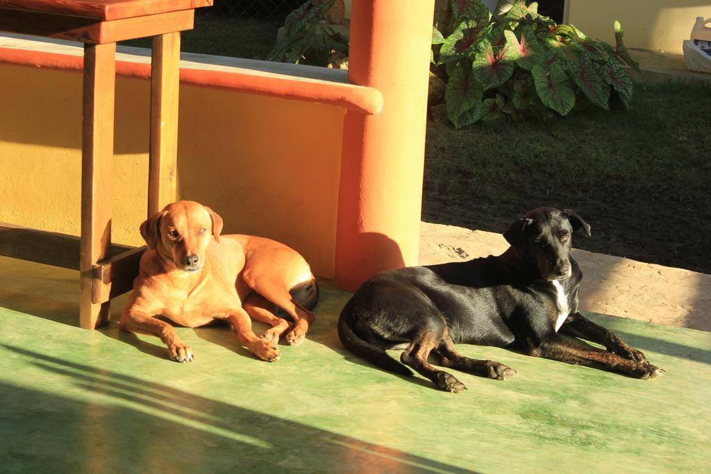 Gipsy Ranch