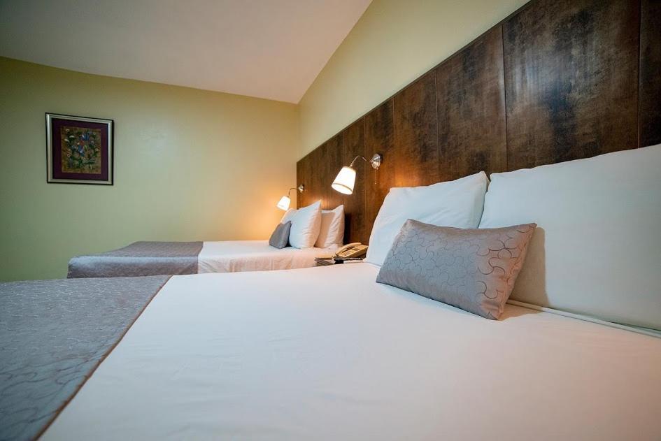 Real Bella Vista Hotel Santo Domingo