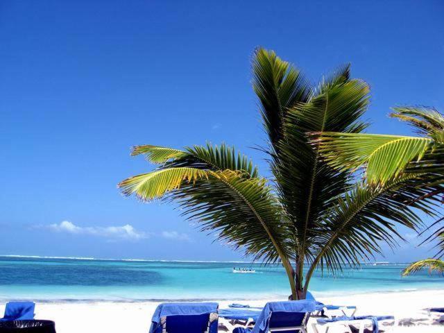 Bed & Breakfast Larimar Beach *