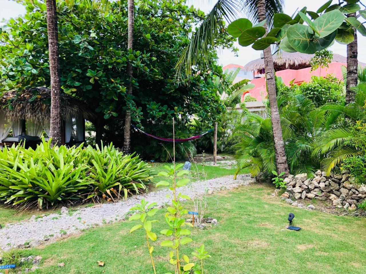 Las Terrazas Deluxe Pool Beach Club & 4* Punta Cana