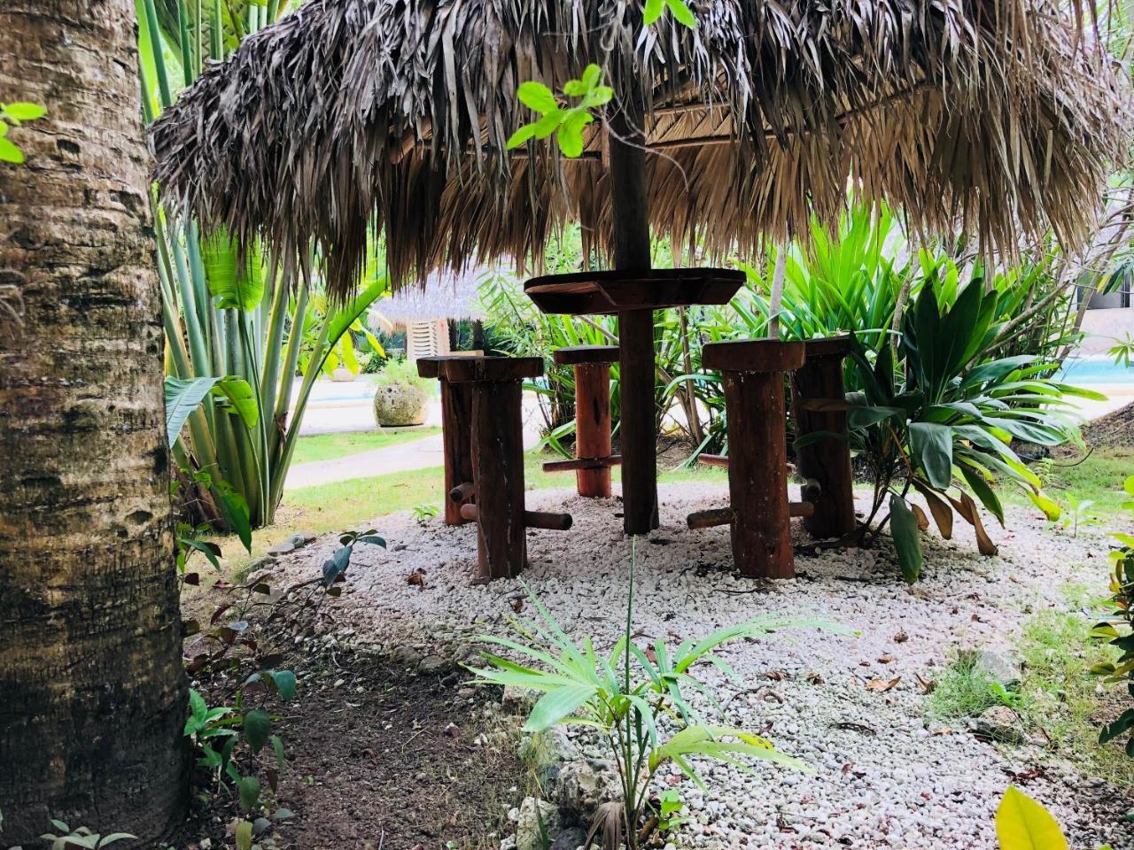 Las Terrazas Deluxe Pool Beach Club & Hotel Punta Cana