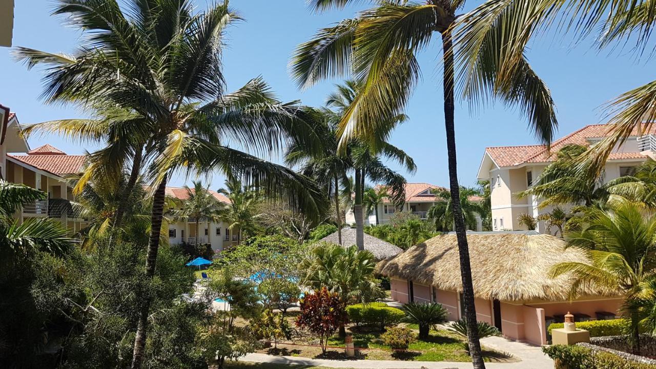 Apartment Cozy Garden Oasis Steps To The Cabarete