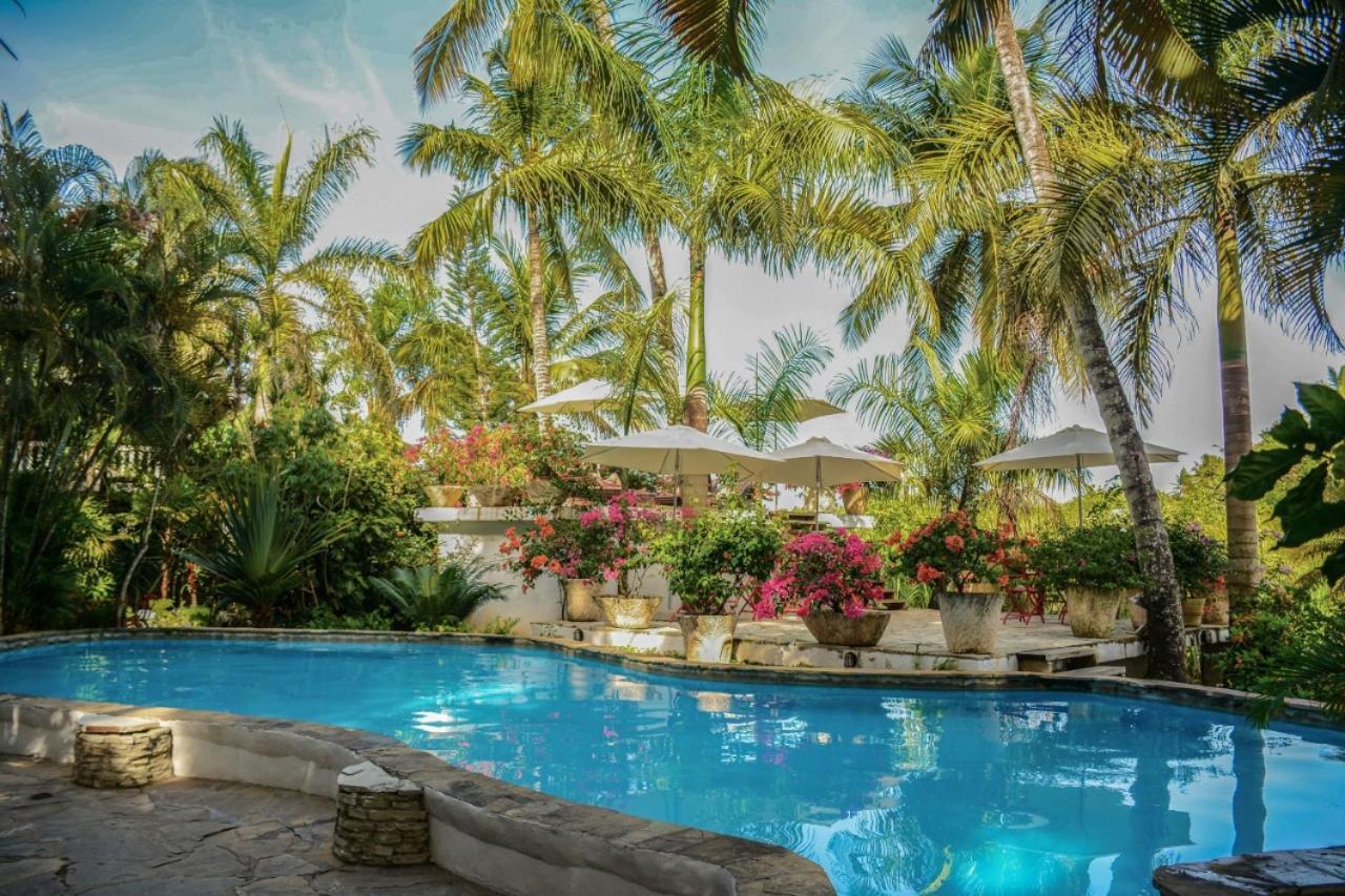 Hotel Surf Camp Cabarete