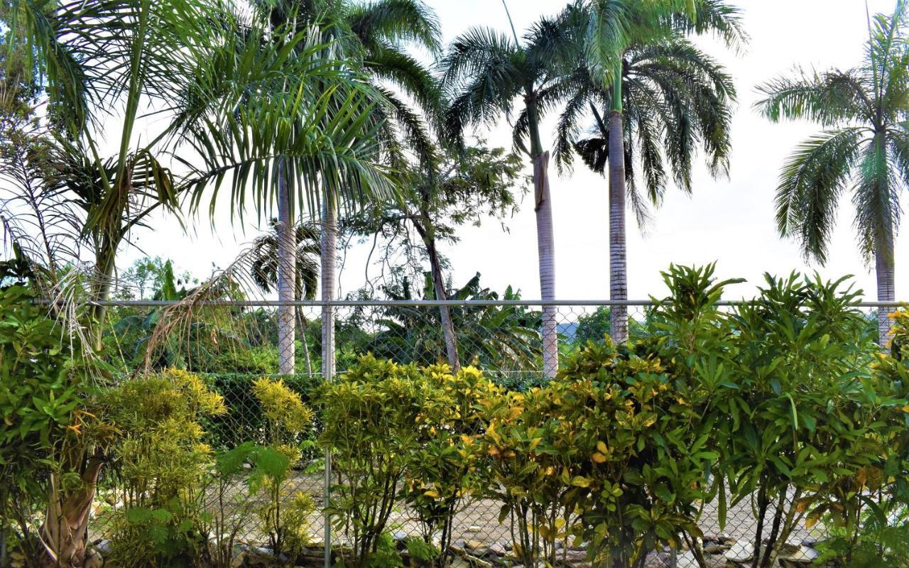Hotel Tropical Casa Laguna 4*