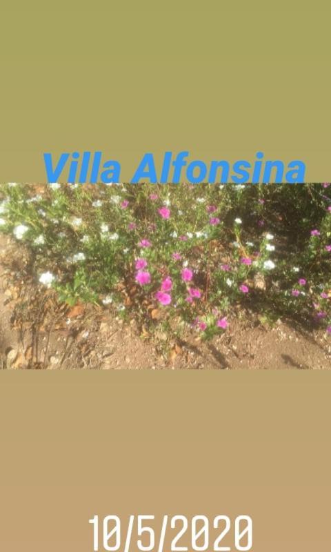 Alfonsina