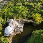 Green Land Bubble Glamping By Mint
