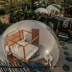 Green Land Bubble Glamping By Mint