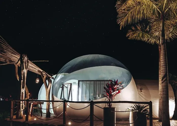 Green Land Bubble Glamping By Mint