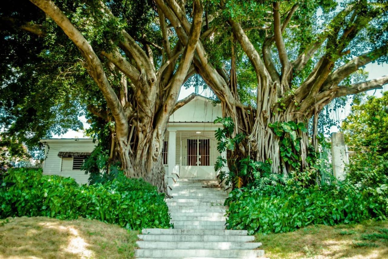 Carolina Bed & Breakfast 2*