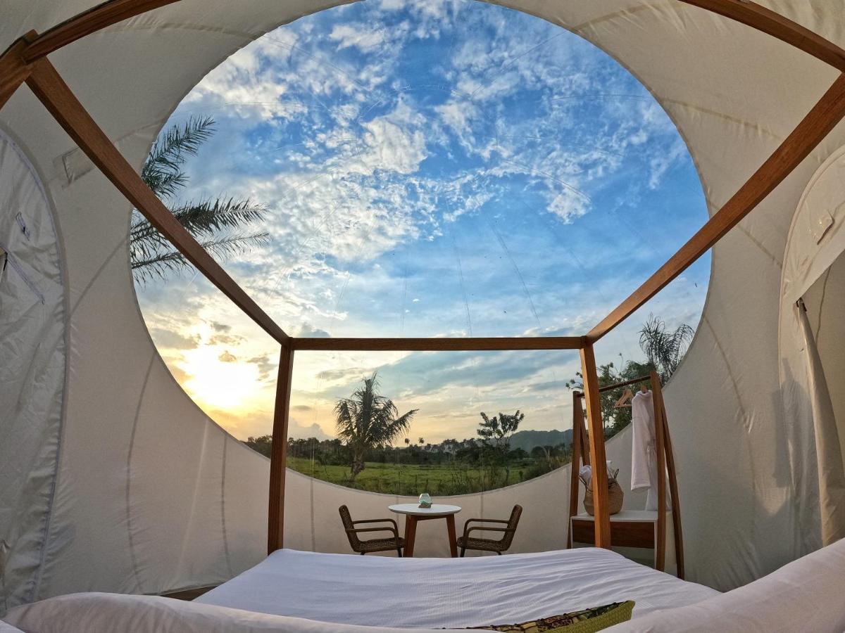 Land Bubble Glamping By Mint *