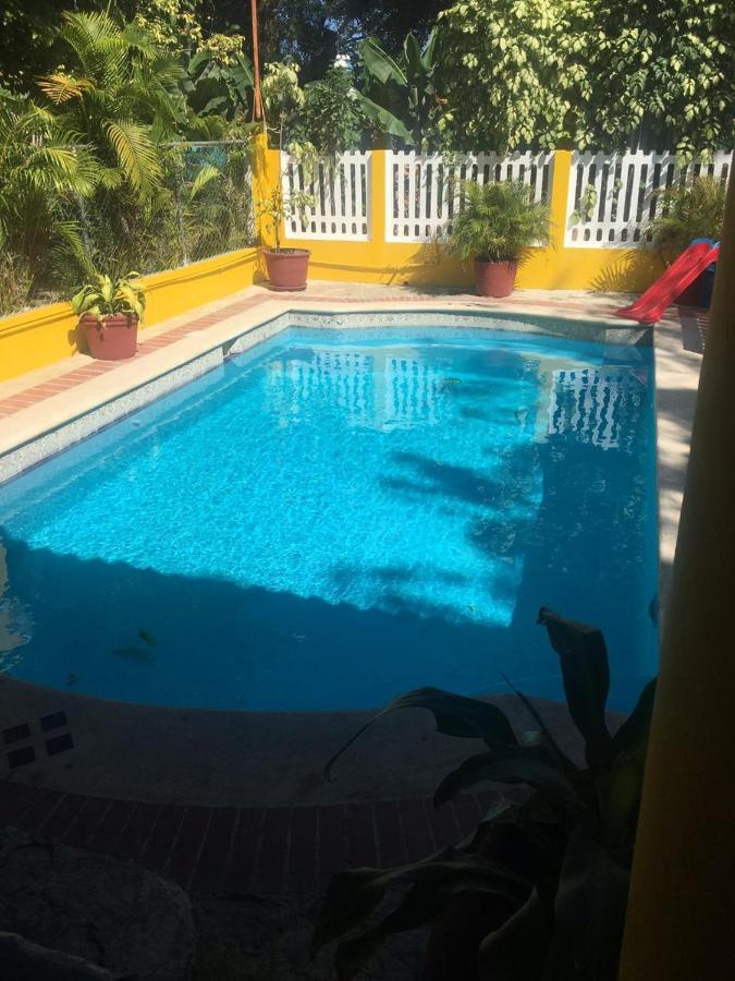Ana Villa
