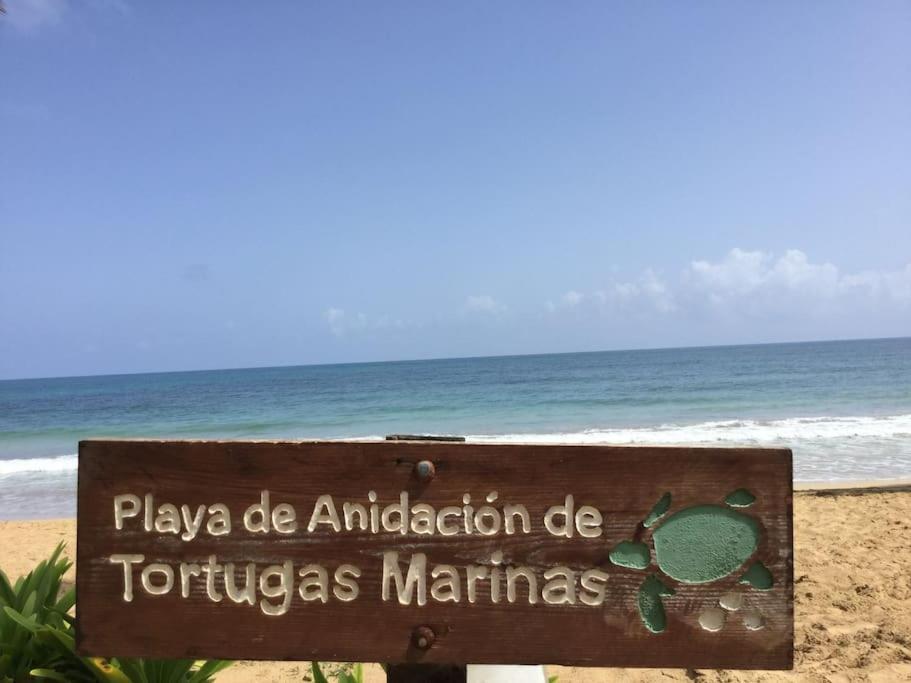Buena Vista *
