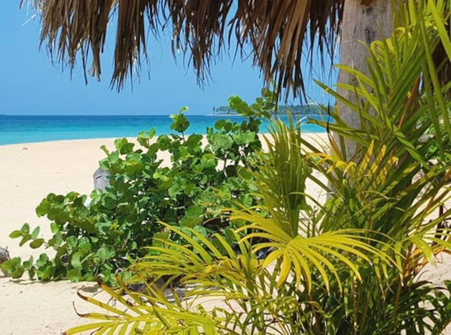 Buena Vista Las Terrenas