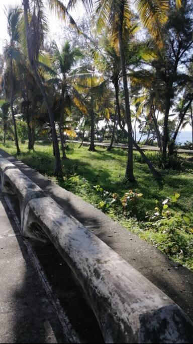 Escape Oceanfront 3br In Avenida Espana 9flr With Pool Apartment Santo Domingo