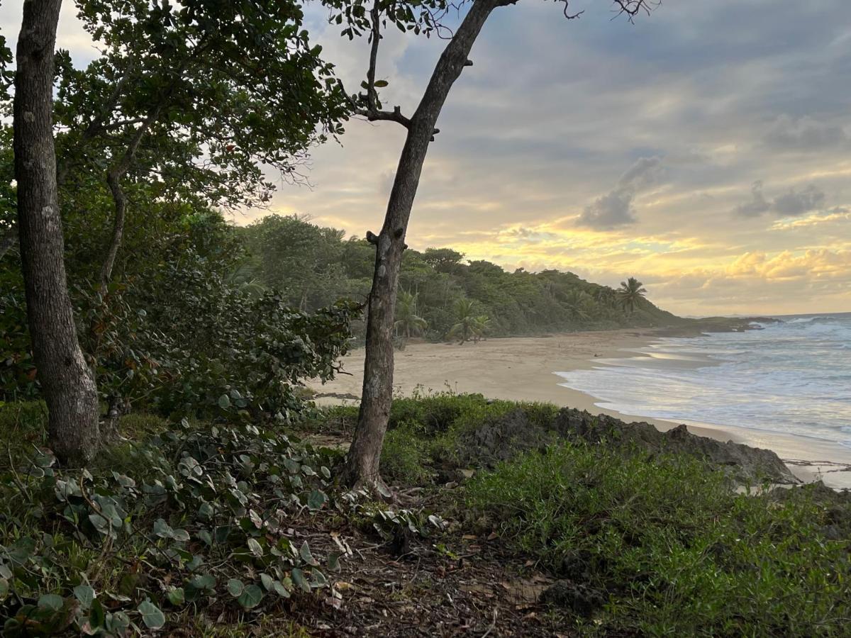 Maravilla Beachfront,encuentro, Surf, Kite Cabarete