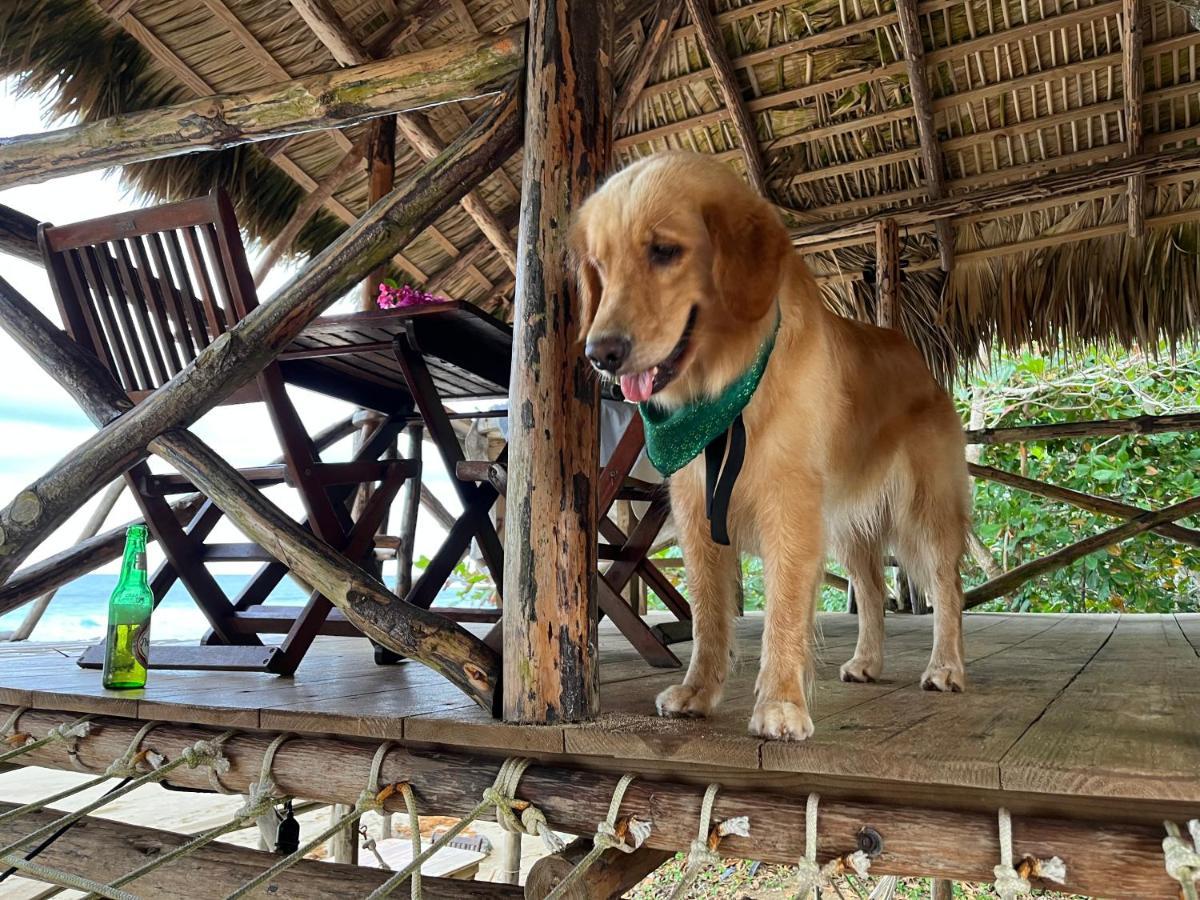 Lodge Maravilla Beachfront,encuentro, Surf, Kite *