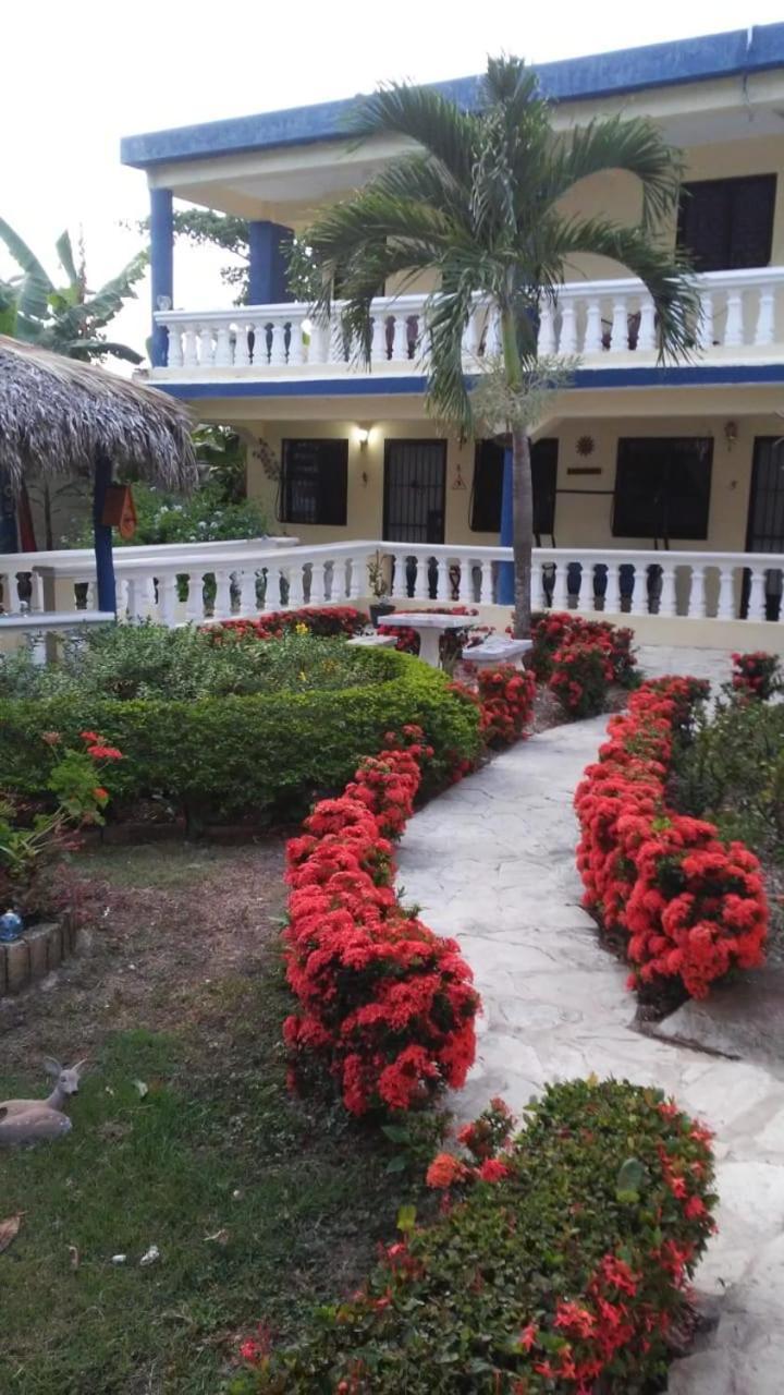 Sana El Jardin Secreto Hostel