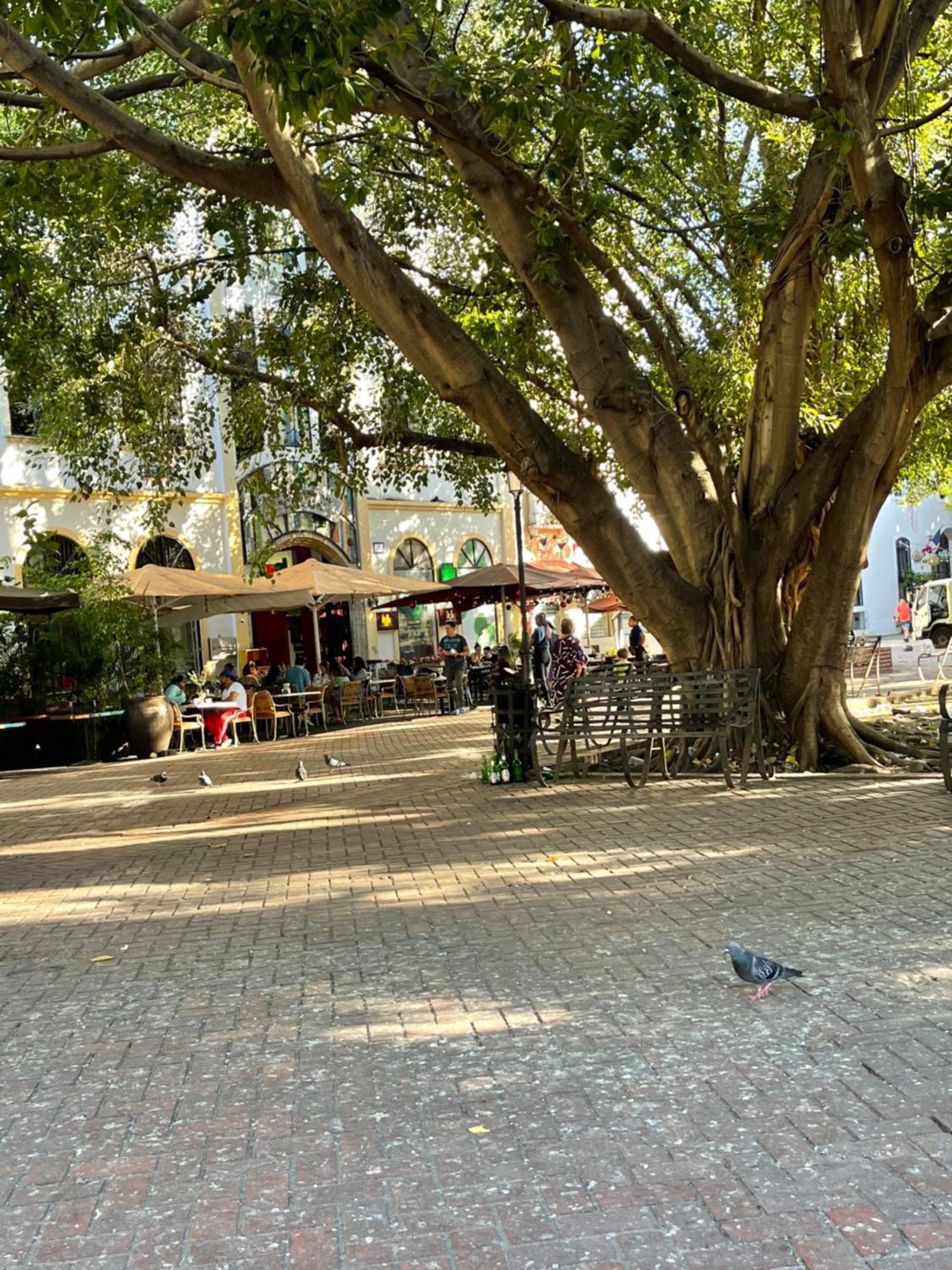 27 Colonial, Centro Historico