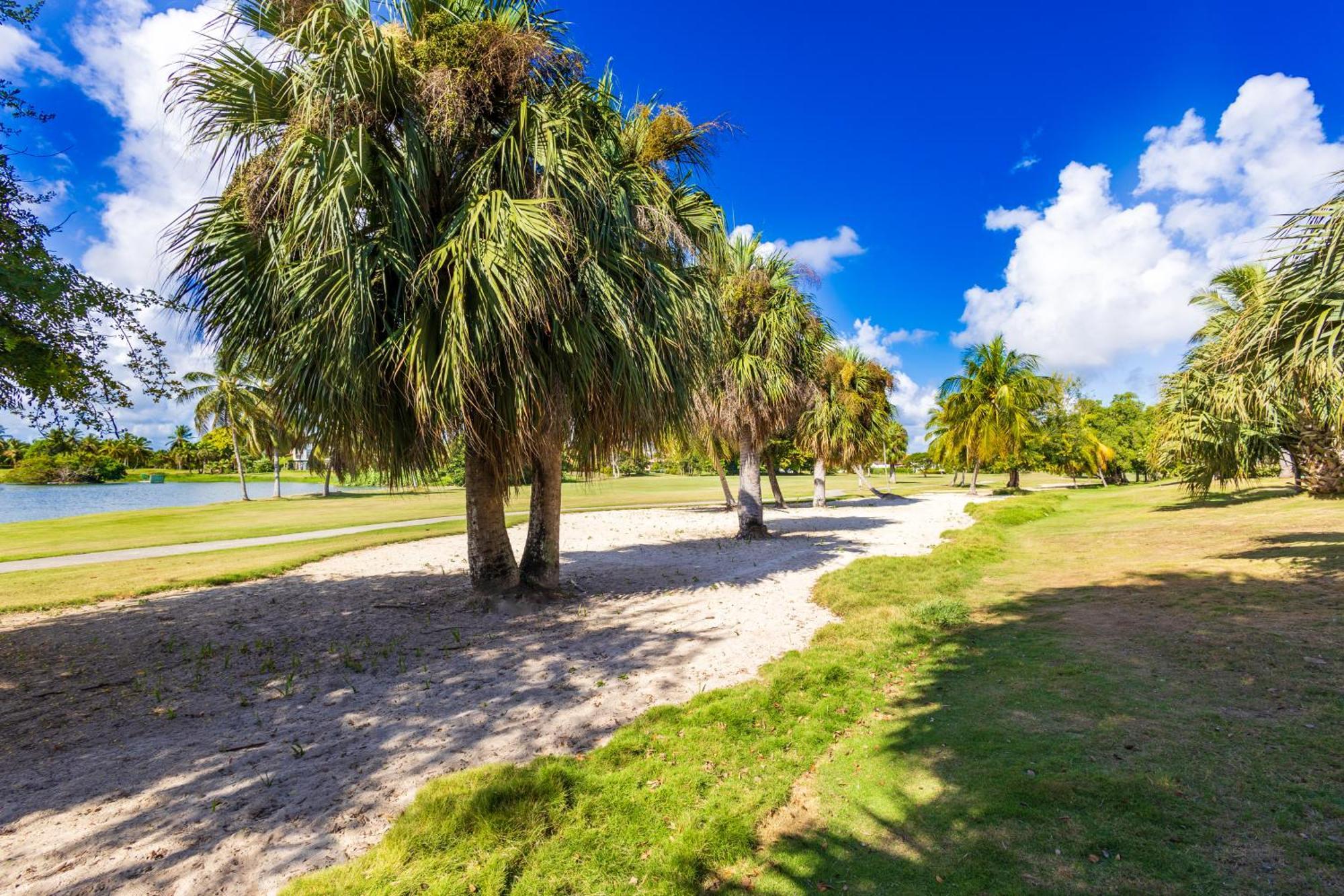 Oasis Cocotal - Family 4br In Punta Cana