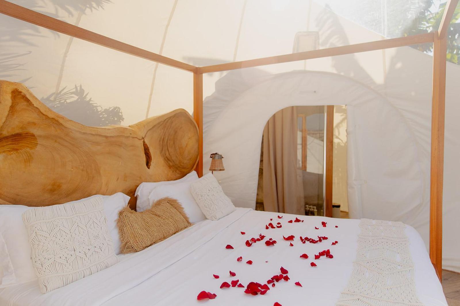 Land Bubble Glamping By Mint