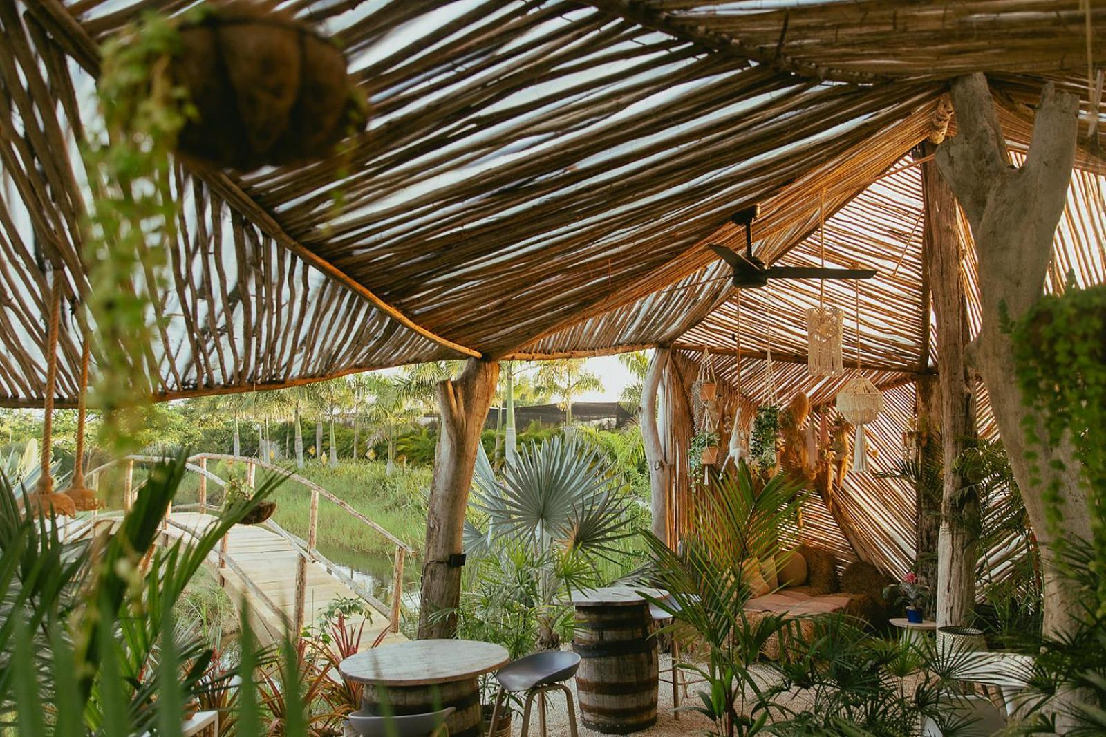 Land Bubble Glamping By Mint * Cabarete