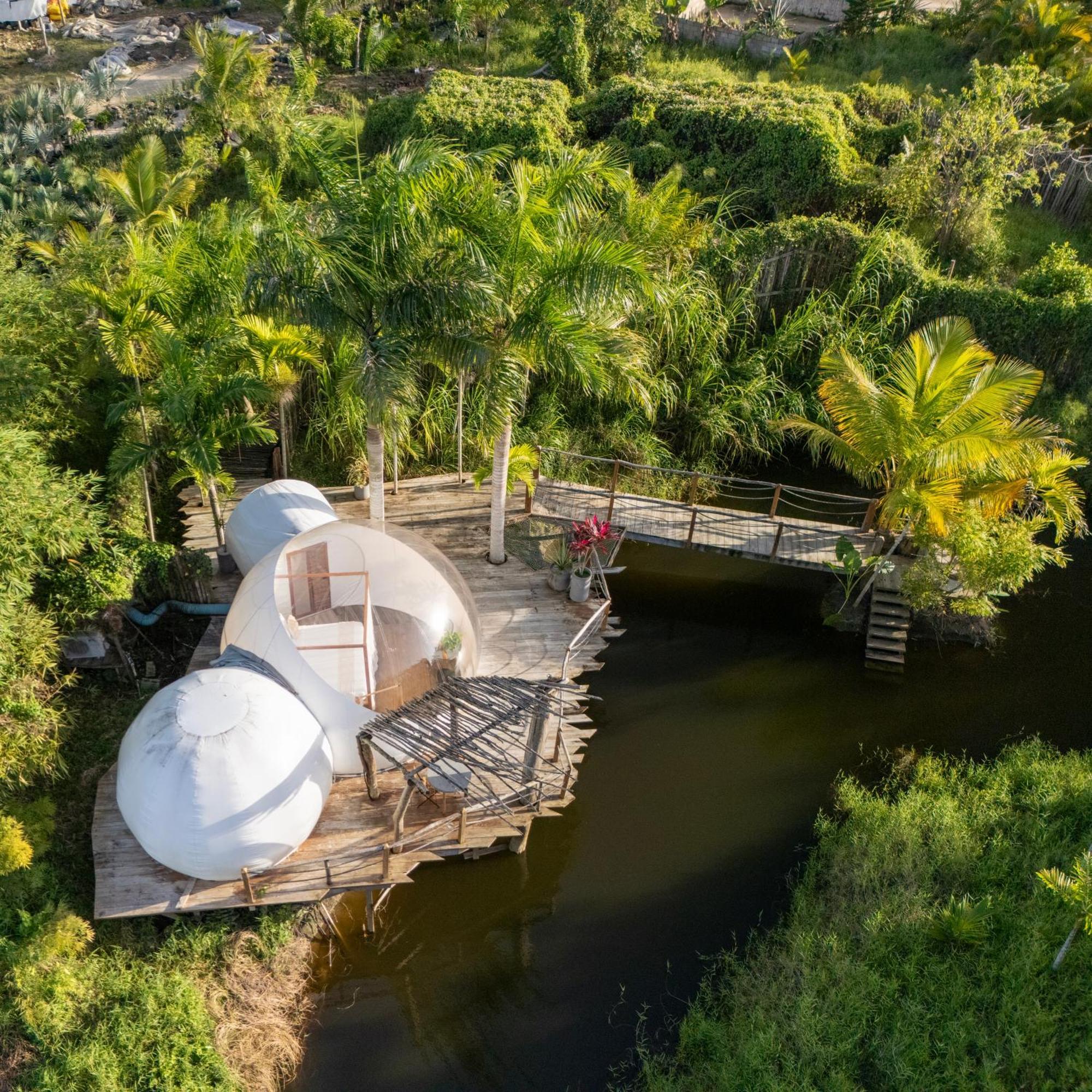 Land Bubble Glamping By Mint *