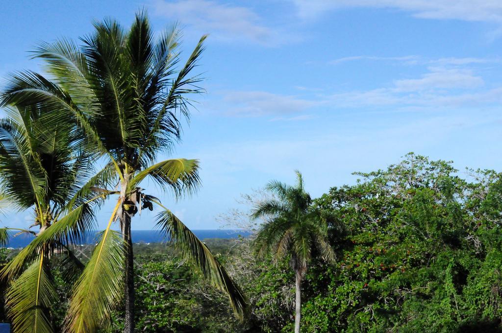 Bed & Breakfast El Mirador Al Mar 2*