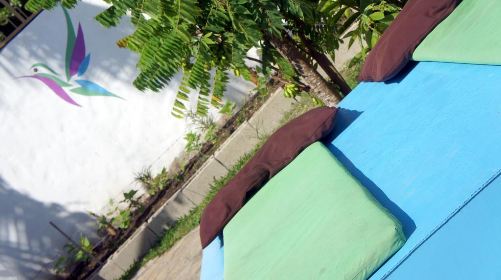 Hummingbird Aparthotel