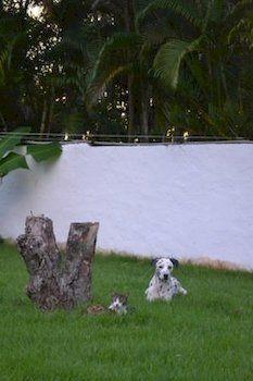 Laguna Park Cabarete