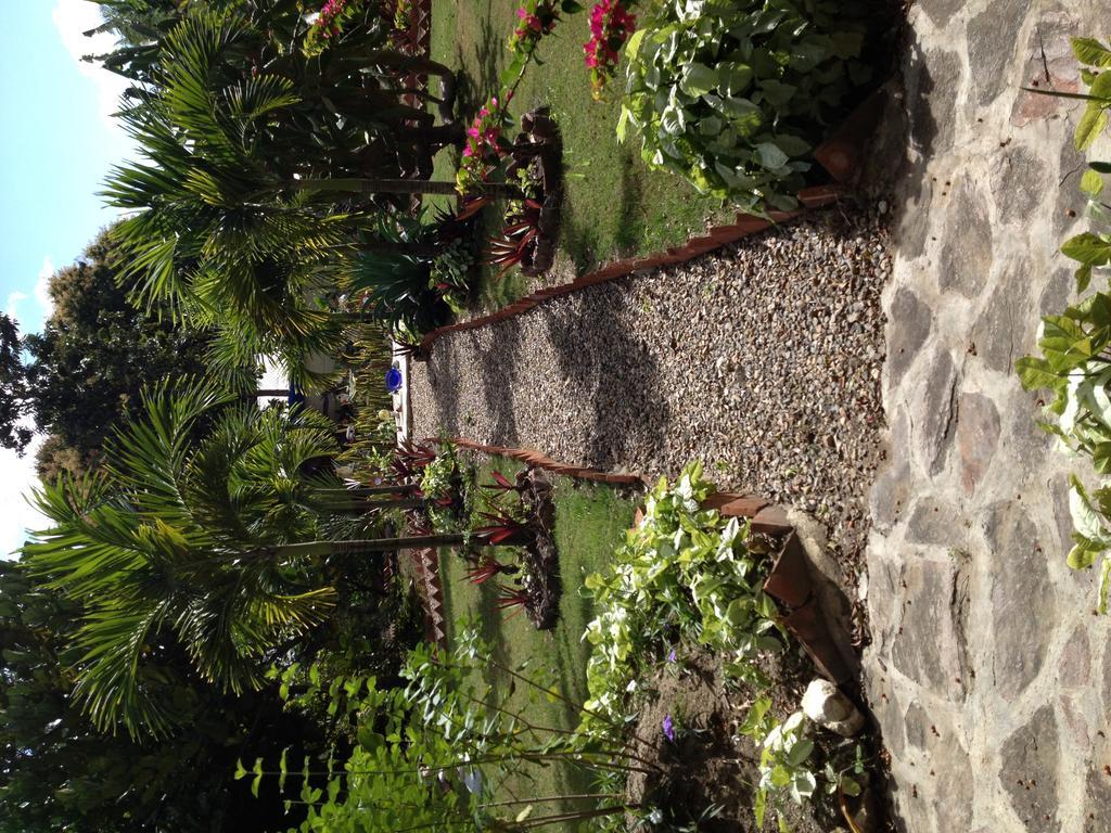 Sana El Jardin Secreto