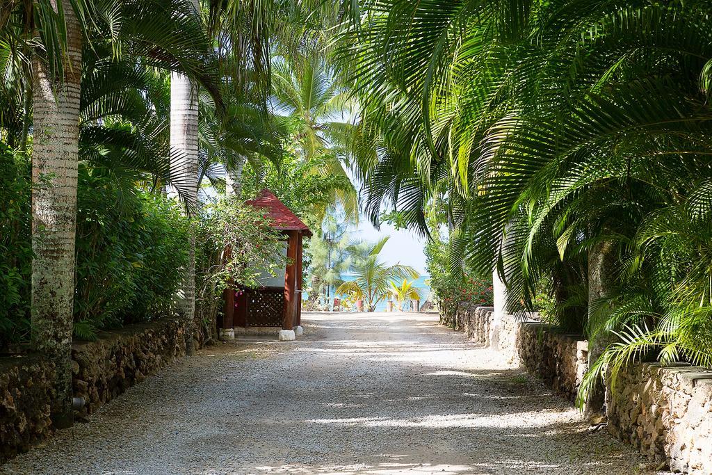 Apartment Playa Ballenas *