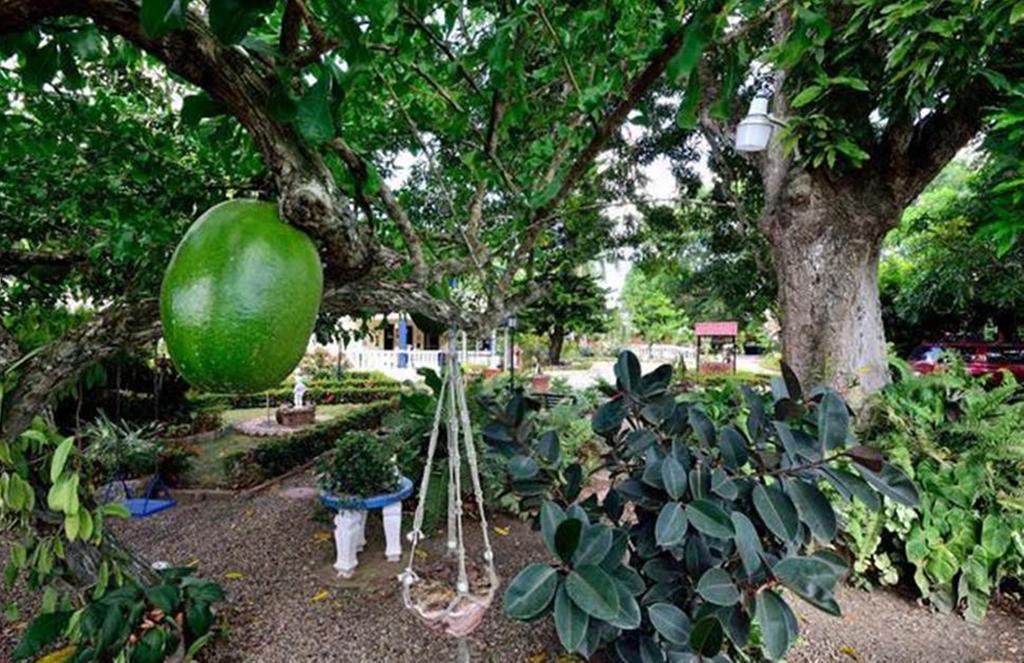 Sana El Jardin Secreto Hostel