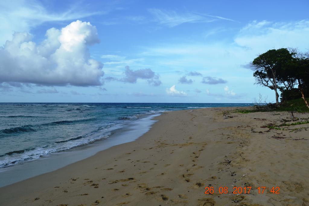 Casa In Perla Marina Homestay *