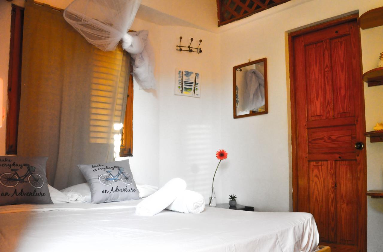 Guest house Casa Delfin 3*