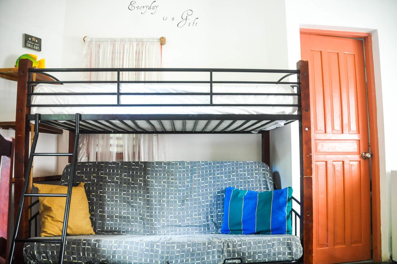 Guest house Casa Delfin 3*