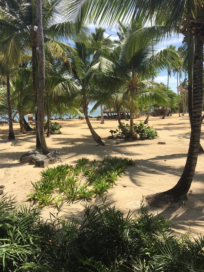 Your Second Away Apartment Las Terrenas