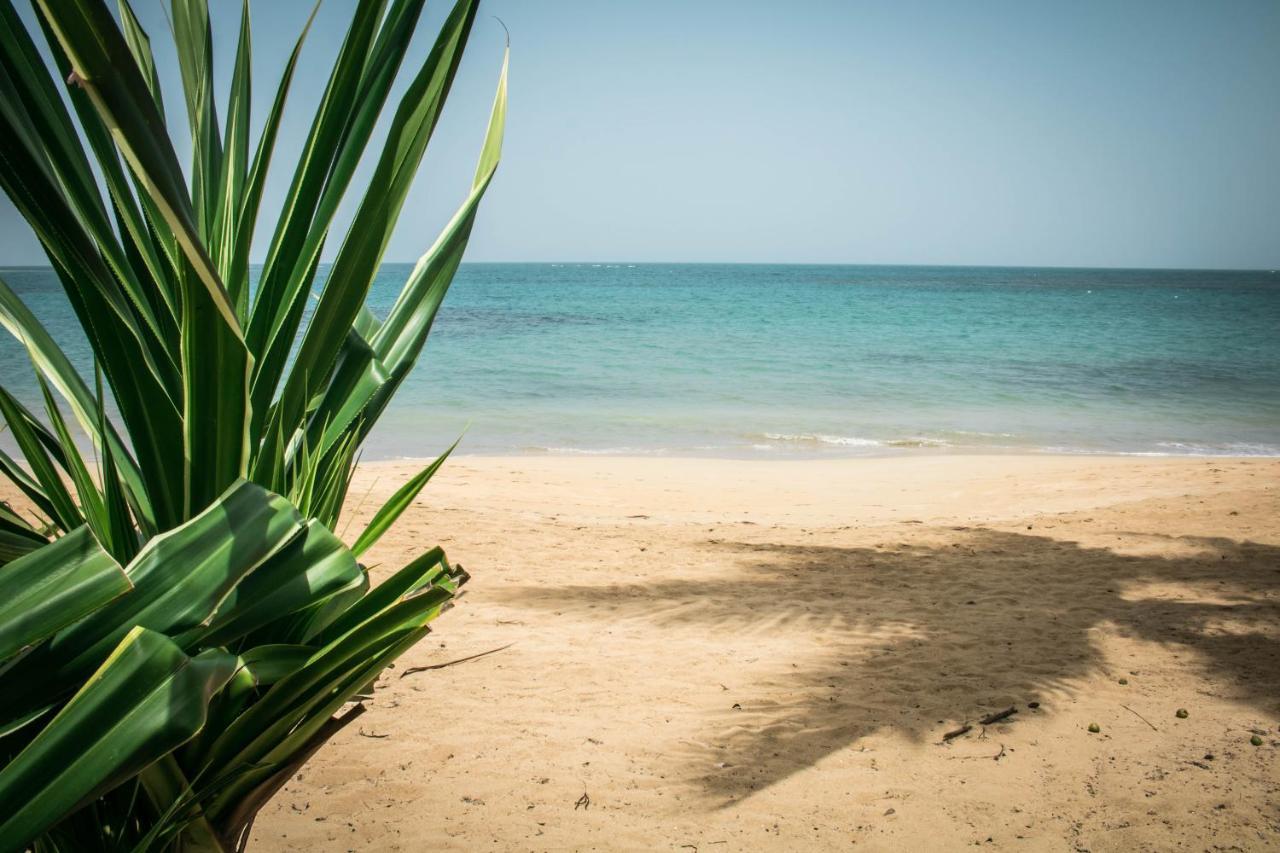Terrenas