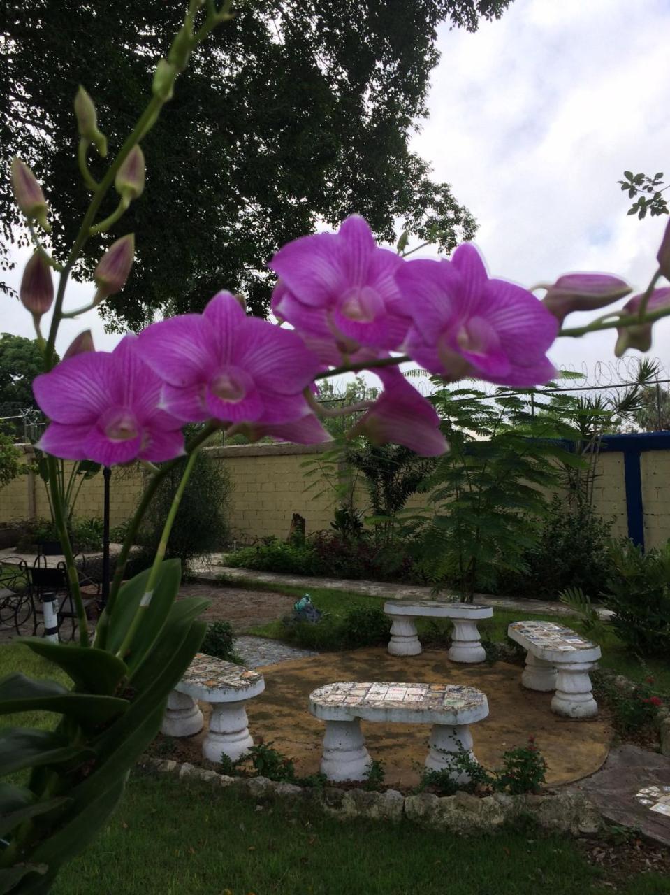 Sana El Jardin Secreto Hostel