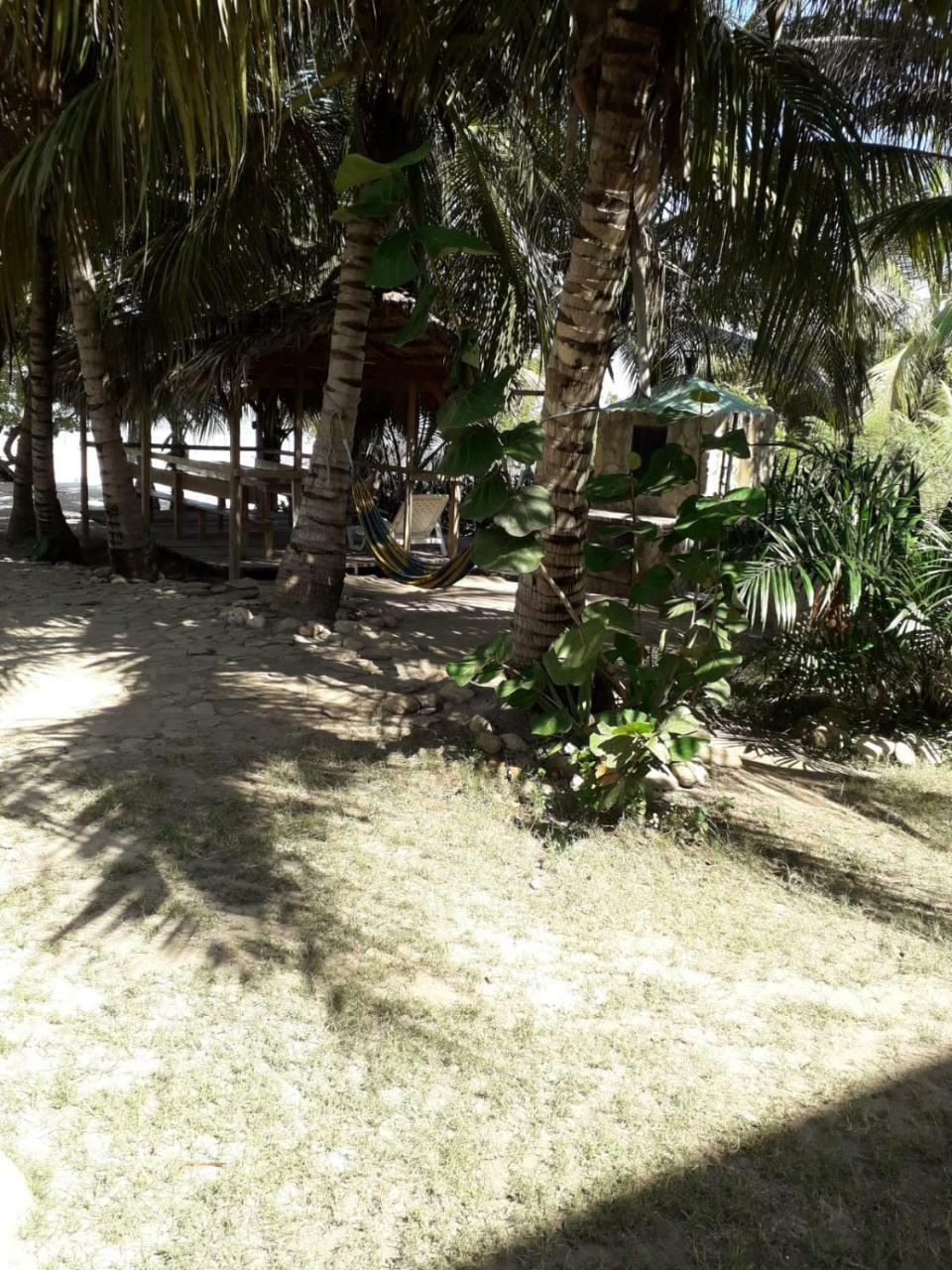 Coco El Copey