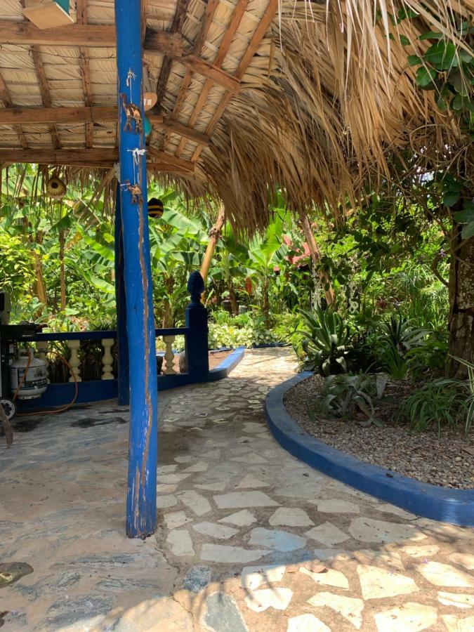 Sana El Jardin Secreto *